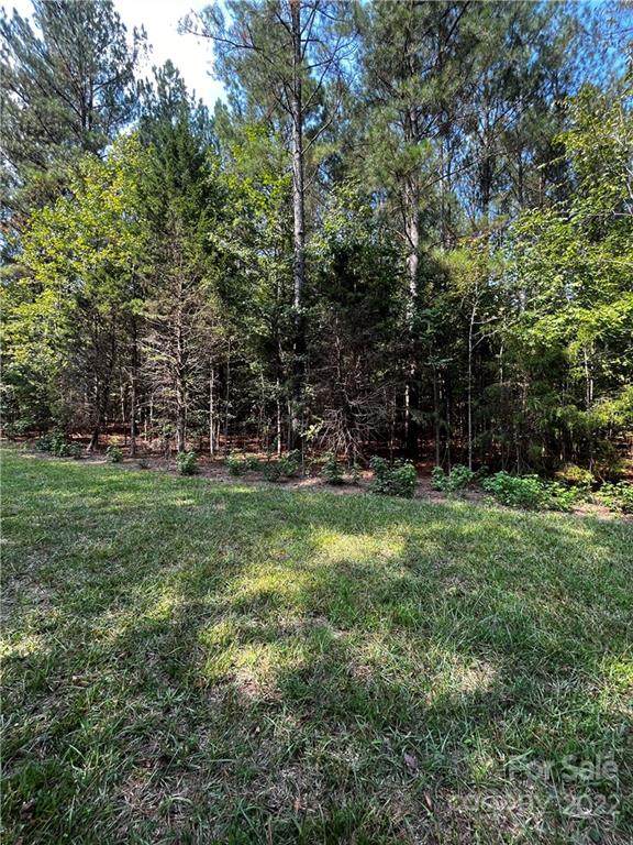 10201 Reed Mine Road - Photo 1