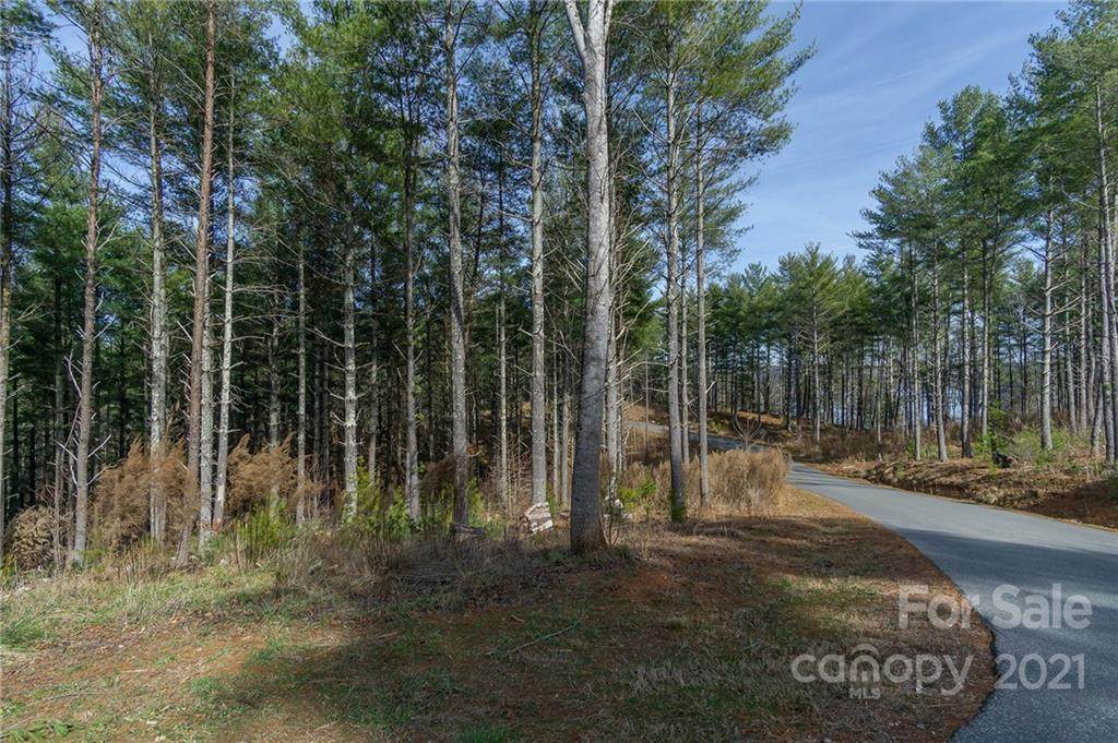 V/L Crest View Drive - Photo 1
