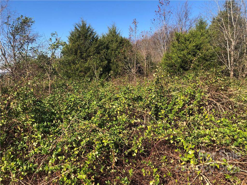 195 Olin Loop - Photo 1