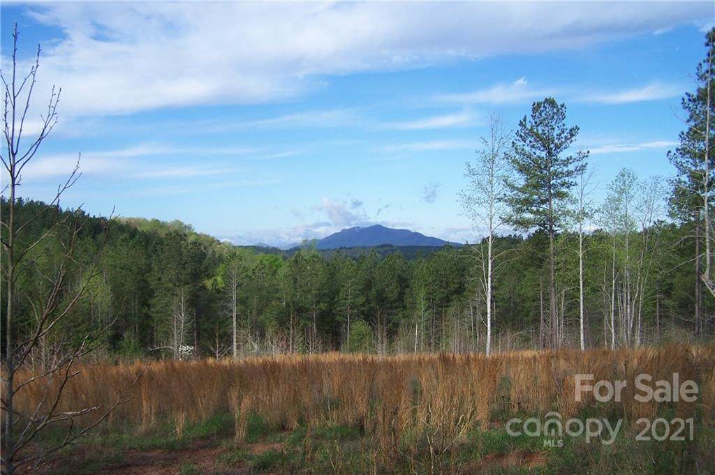 Tract 3 County Line Road - Photo 1