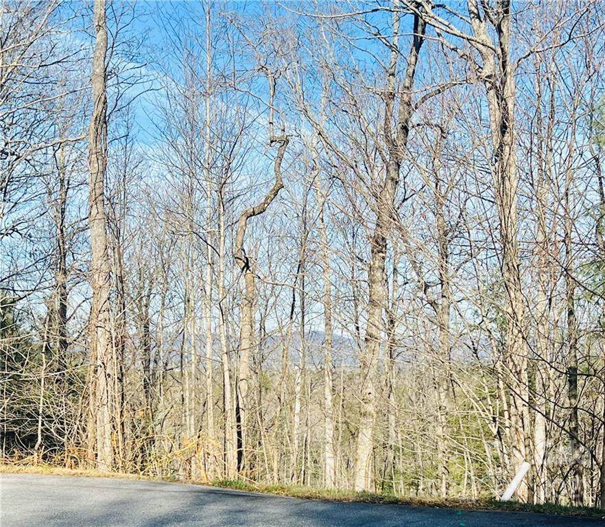 96 Turkey Roost Court - Photo 1