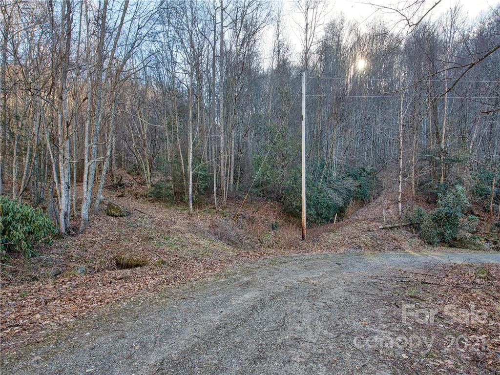 #14 & #45 Hemlock Springs Road - Photo 1