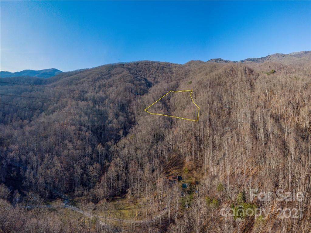 00 Parris Branch Road - Photo 1
