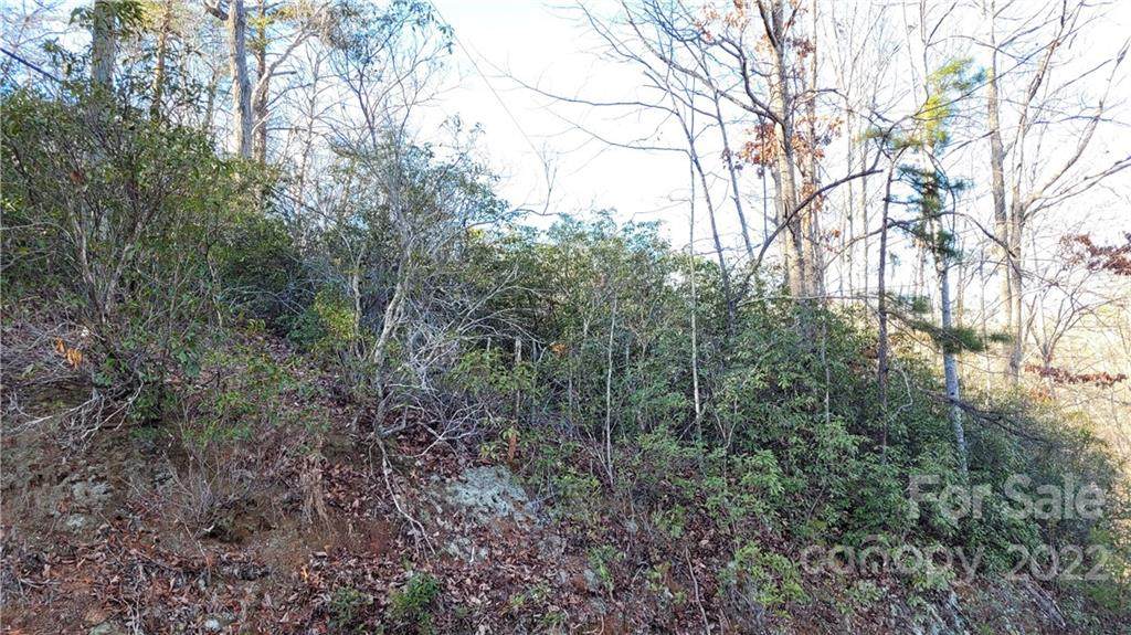 0 Oriole Drive - Photo 1