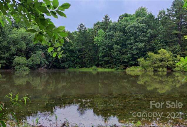 7021 Robinson Church Road - Photo 1