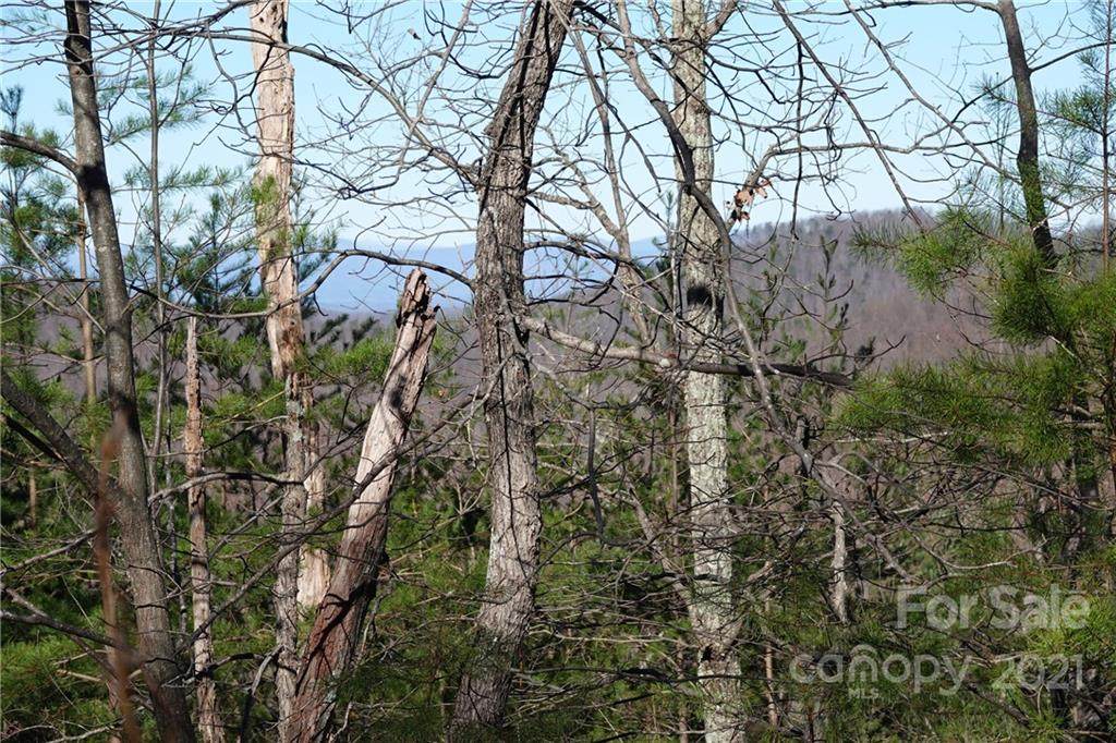 69 Arbra Mountain Way - Photo 1