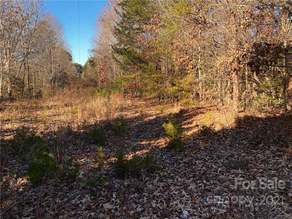 3151 Green Acres Lane - Photo 1
