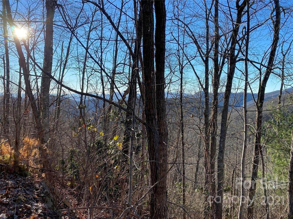 0 Hickory Nut Trail - Photo 1