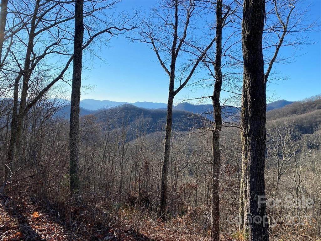 0 Hickory Nut Trail - Photo 1