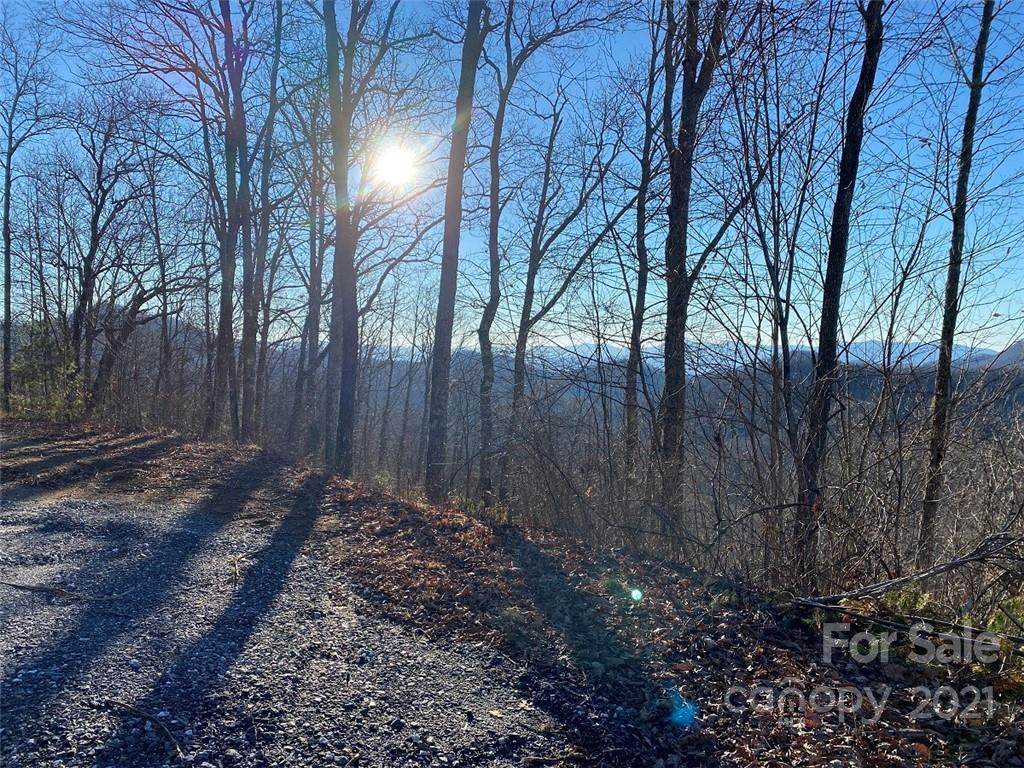 0 Hickory Nut Trail - Photo 1