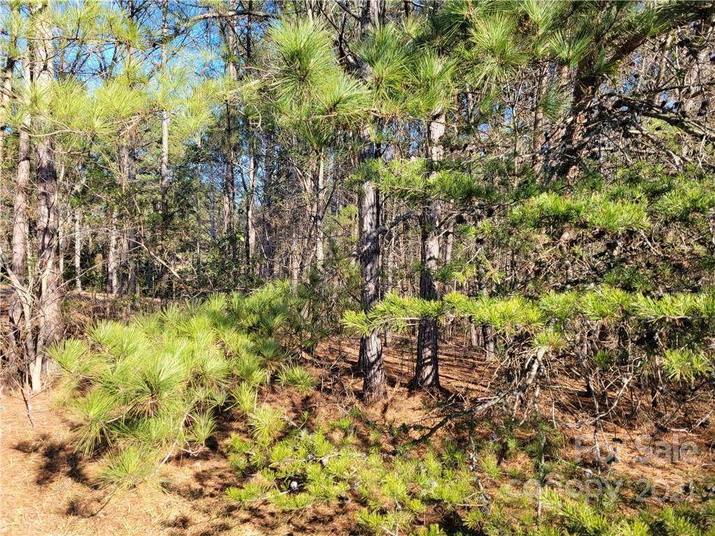 00 Island Cove Road - Photo 1