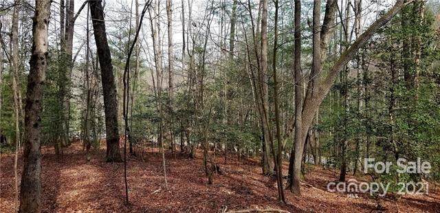 2773 Pheasant Run Street - Photo 1