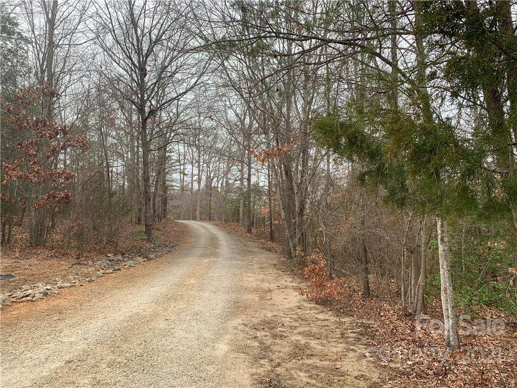2190 Mollys Backbone Road - Photo 1