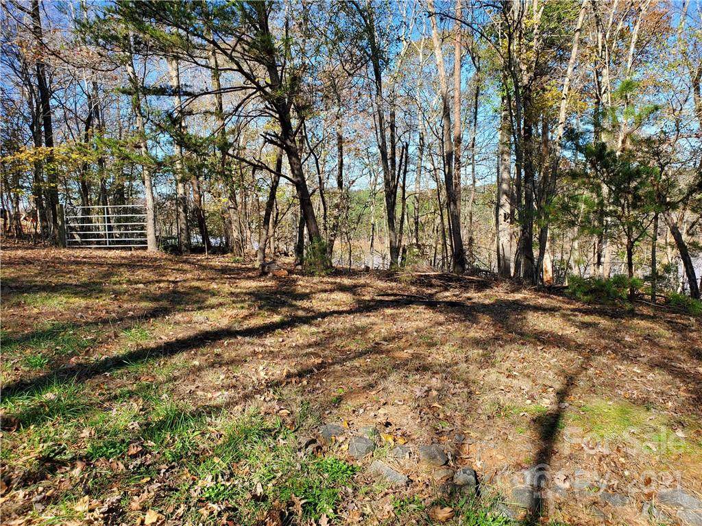 000 Moonshine Drive - Photo 1