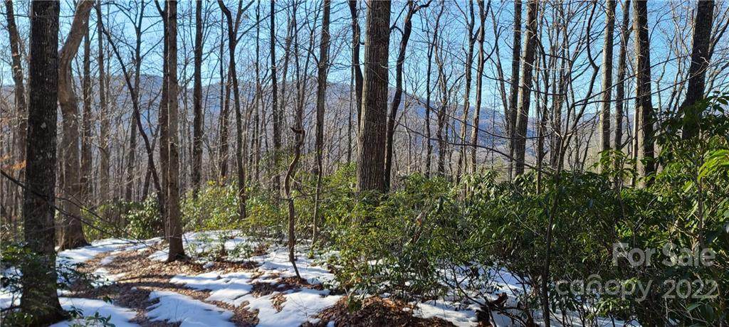 Tract 9 Kate Mountain Road - Photo 1