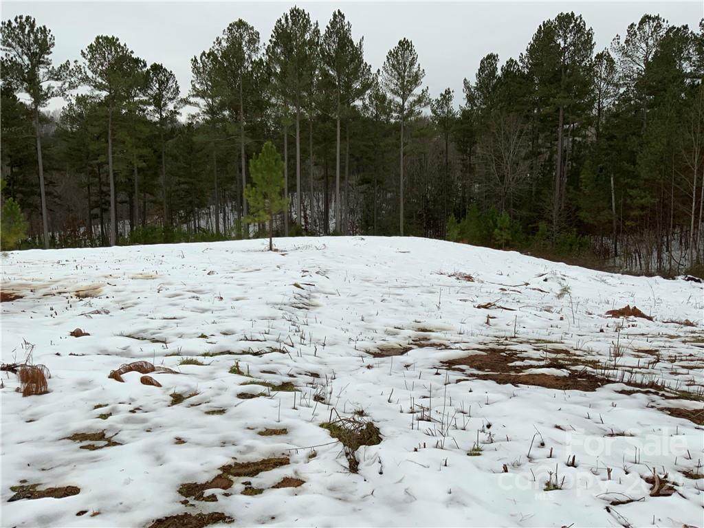 0 Green River Farms Lane - Photo 1