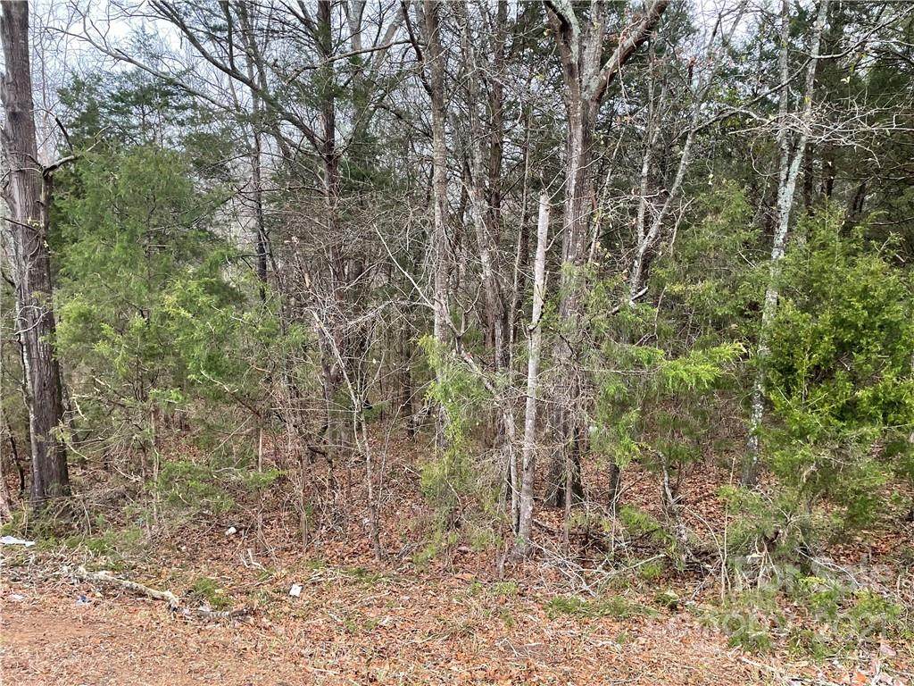 521 Highway Pass - Photo 1