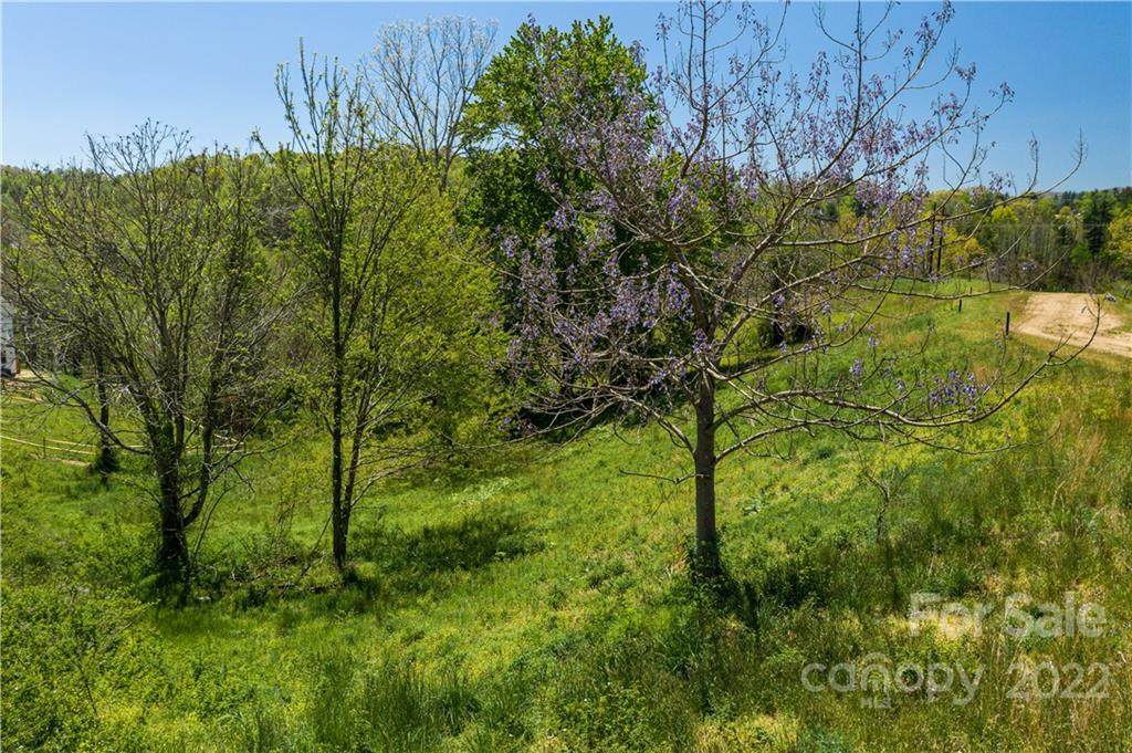 502 Wilma Dykeman Trail - Photo 1