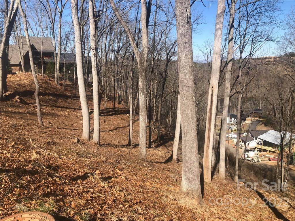 17 Tulip Poplar Trail - Photo 1