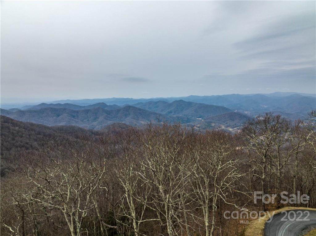 99999 Old Growth Forest Road - Photo 1