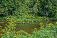 TBD Big Hill Road - Photo 1