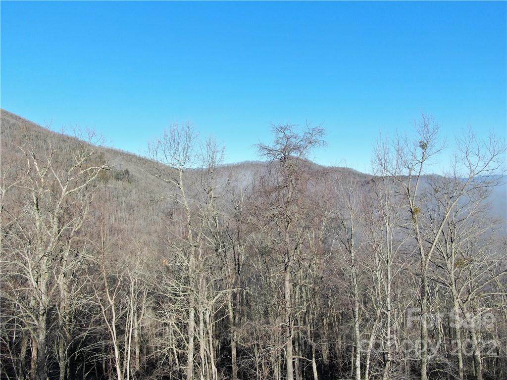 0 Treehouse Road - Photo 1