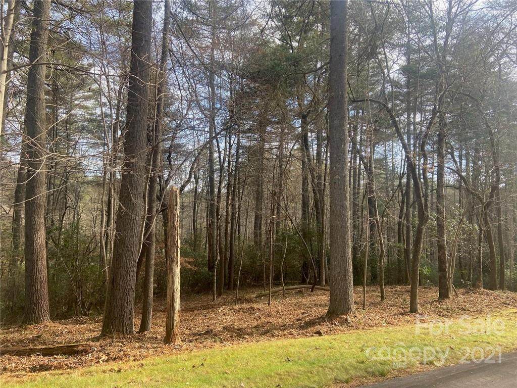 L43 Mountain Brook Trail - Photo 1
