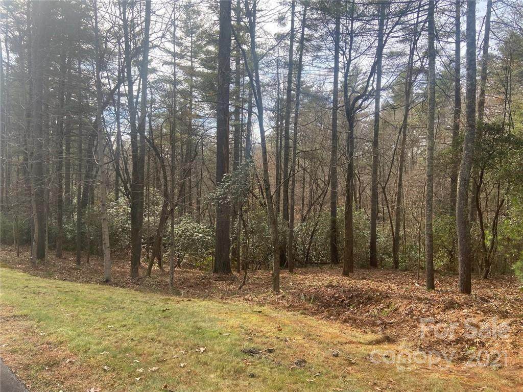 L47 Mountain Brook Trail - Photo 1
