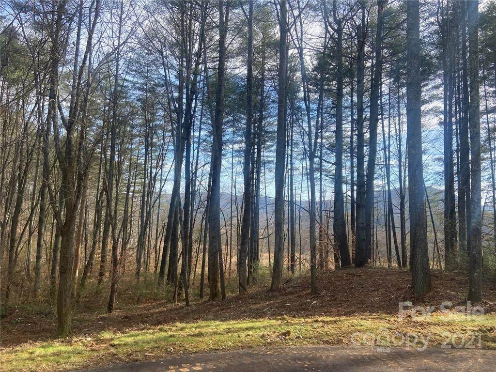 L62 Stone Field Trail - Photo 1