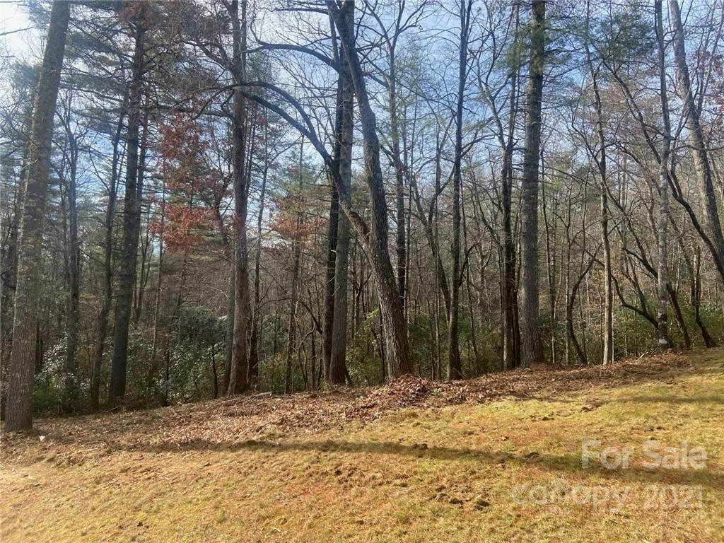 L87 Stone Field Trail - Photo 1