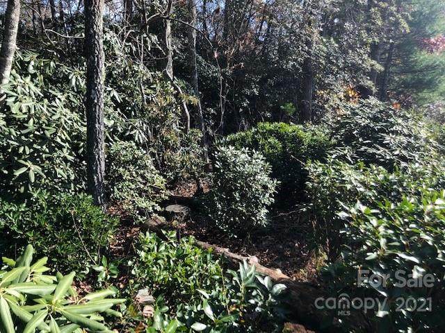 0 White Rock Road - Photo 1
