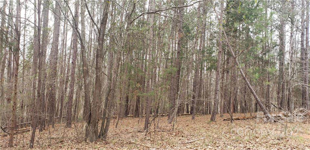 00 Rock Spring Road - Photo 1
