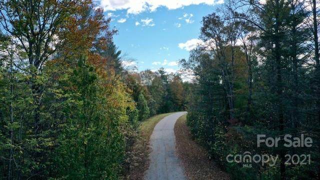 Lot 25 Walnut Ridge Drive - Photo 1