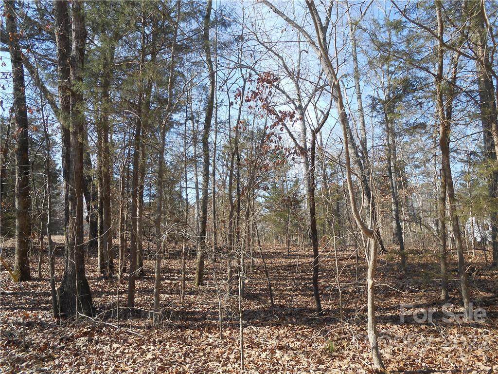 8809 Blaydon Drive - Photo 1