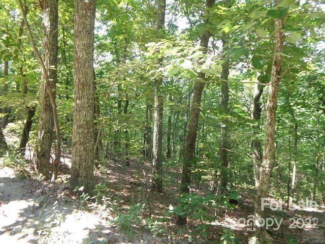 Lot 145 High Peak Mountain Road - Photo 1