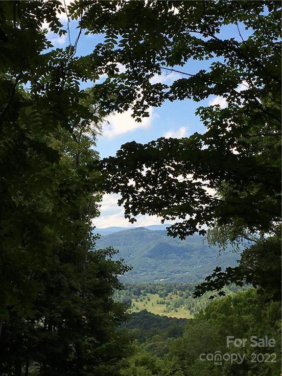 TBD Mcguires Ridge - Photo 1