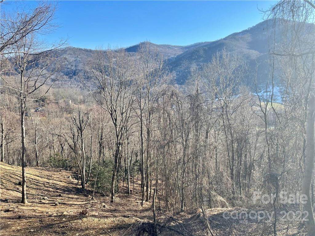 Lot 29 Grandview Cliff Heights - Photo 1