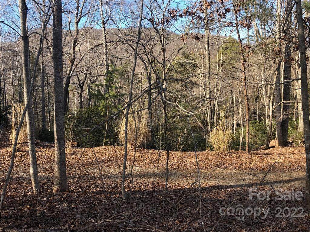 0 Wilderness Road - Photo 1