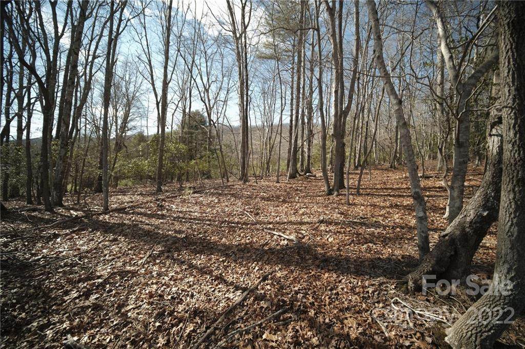 122 Jockey Hollow Drive - Photo 1