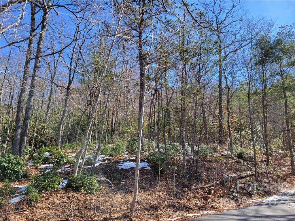 00000 Hunting Lodge Drive - Photo 1