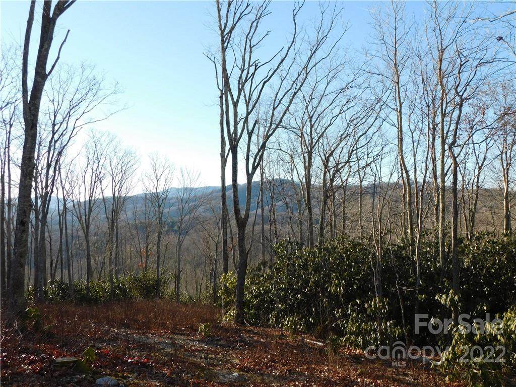 TBD Whittington Lane - Photo 1