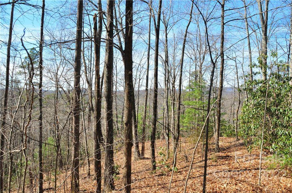 000 Stoneledge Road - Photo 1