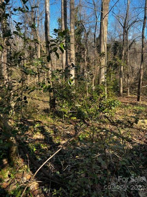 000 Catawba Avenue - Photo 1