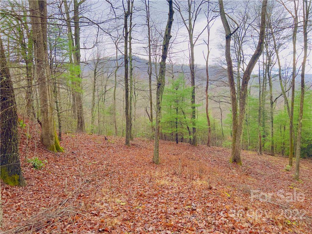 0 Mountain Summit Road - Photo 1