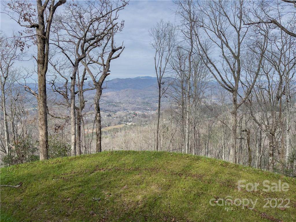0 Bryson Gap Road - Photo 1