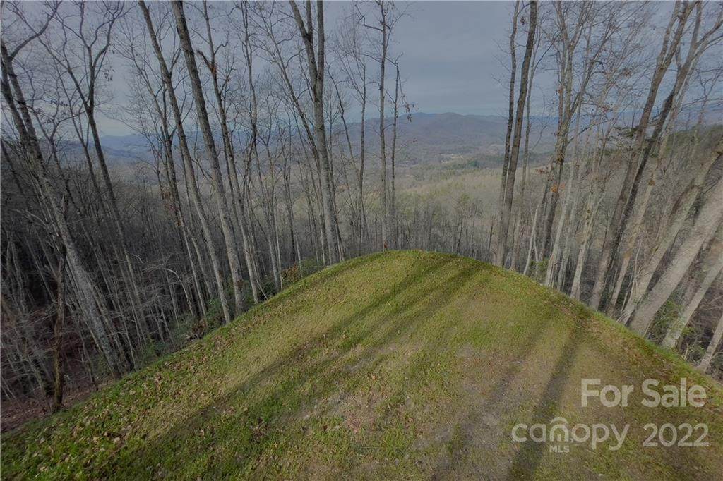 0 Bryson Gap Road - Photo 1