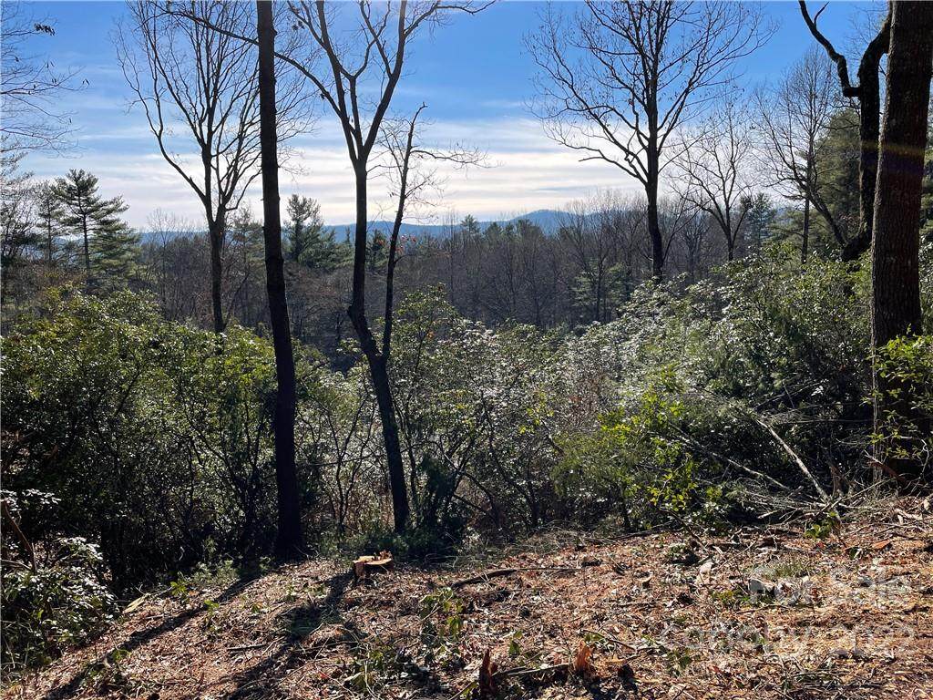 LOT 56 Winterberry Drive - Photo 1