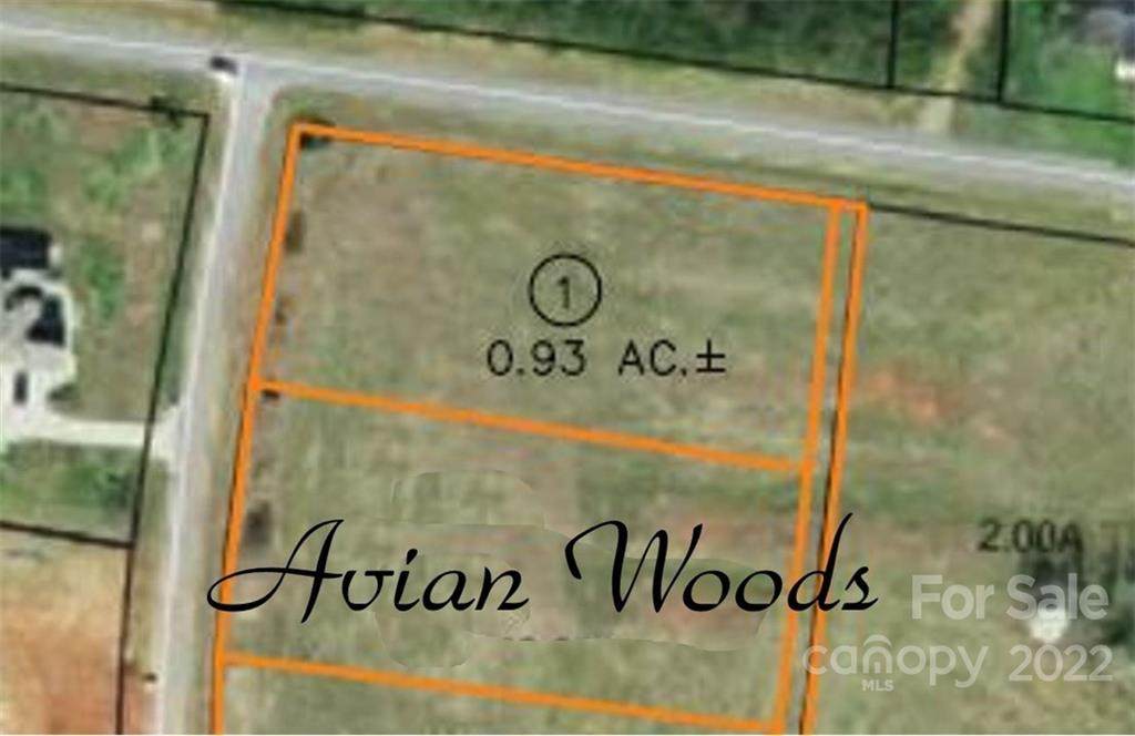 Lot 1 Harper Lee Drive - Photo 1