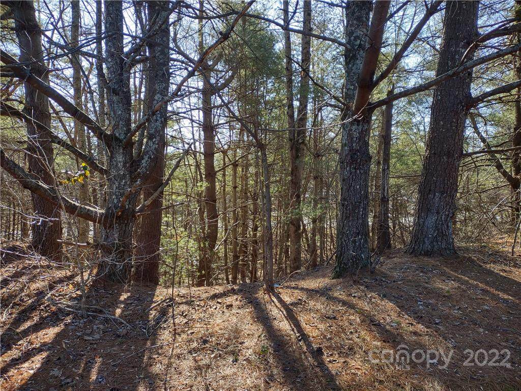 956 Ozone Drive - Photo 1