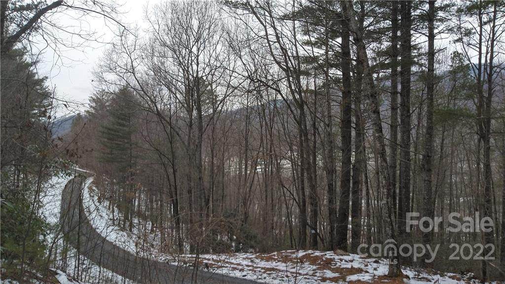 0 Fox Ridge Trail - Photo 1